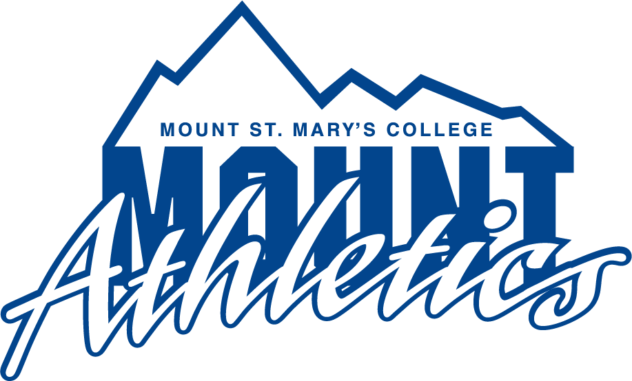 Mount St. Marys Mountaineers 1990-1996 Primary Logo diy DTF decal sticker